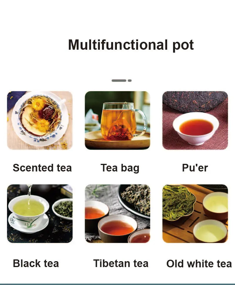 THÉIÈRE électrique multifonction,  avec fonction vapeur et maintien au chaud automatique (220 V).