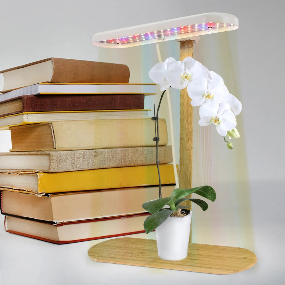 Lampe de Culture LED en Bambou | 4 Niveaux & Minuterie Auto - Croissance Accélérée - ThéZen Pro ThéZen Pro